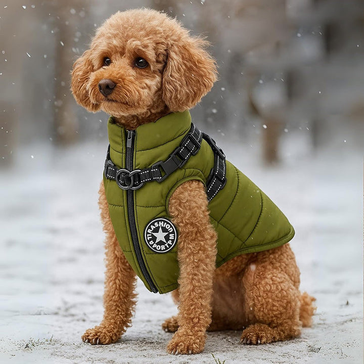 Warm waterproof dog winter jacket with integrated harness, fleece-lined for small to large dogs.