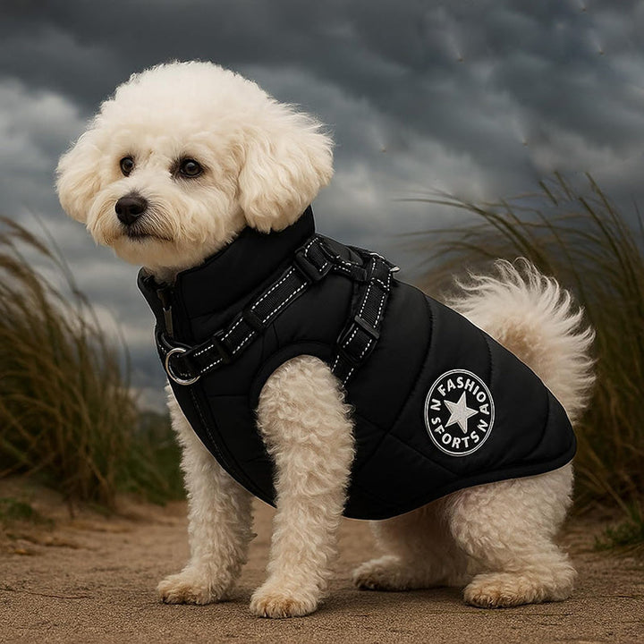 Durable dog winter jacket with built-in harness, offering warmth and protection from snow.