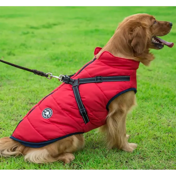 Black waterproof dog vest with integrated harness, ideal pet apparel for cold weather.