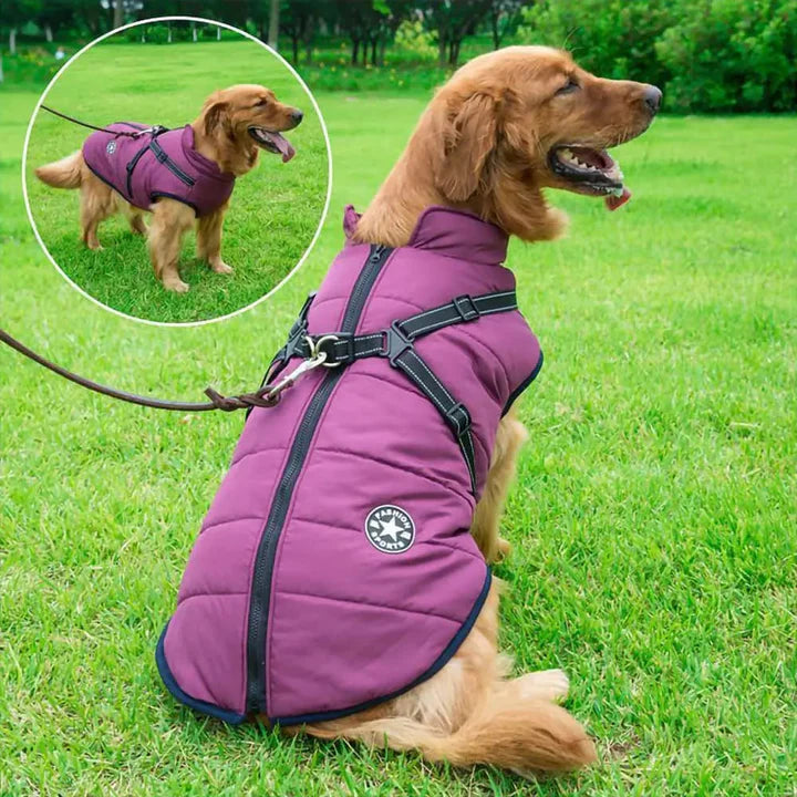 Adjustable waterproof dog coat with integrated harness, ensuring a snug and warm fit.