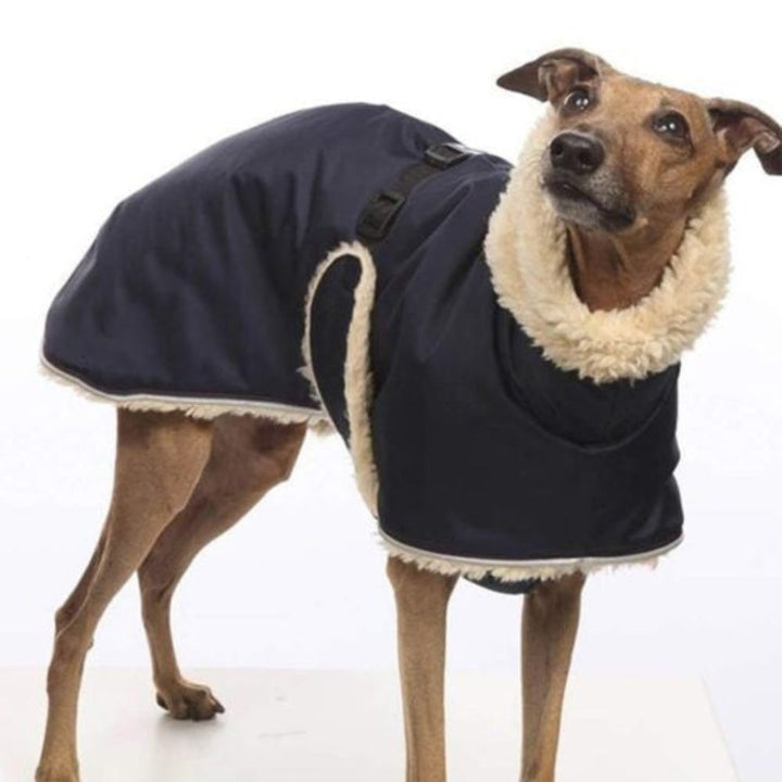Warm whippet dog jacket, fleece-lined, waterproof, in stylish green for winter walks