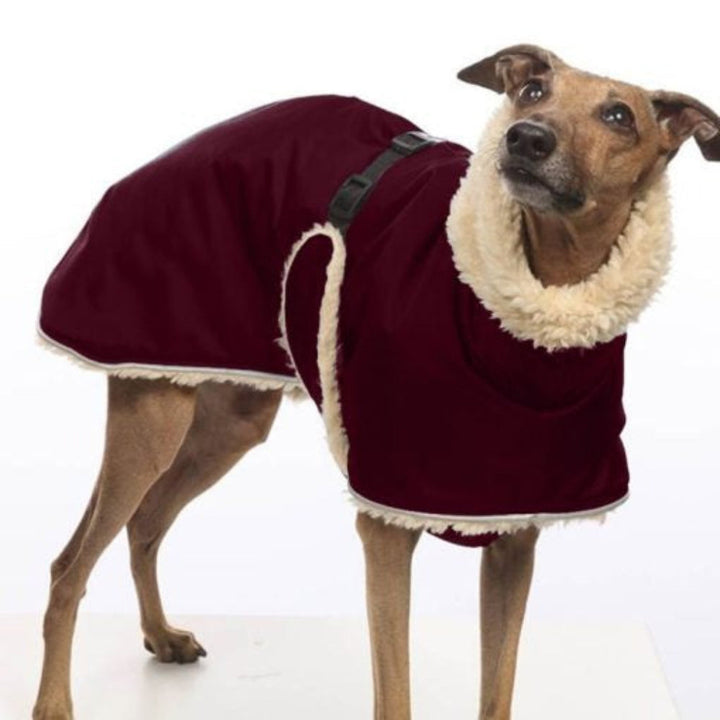 Close-up of durable, fleece-lined dog jacket fabric, water-resistant for whippet, greyhound, lurcher