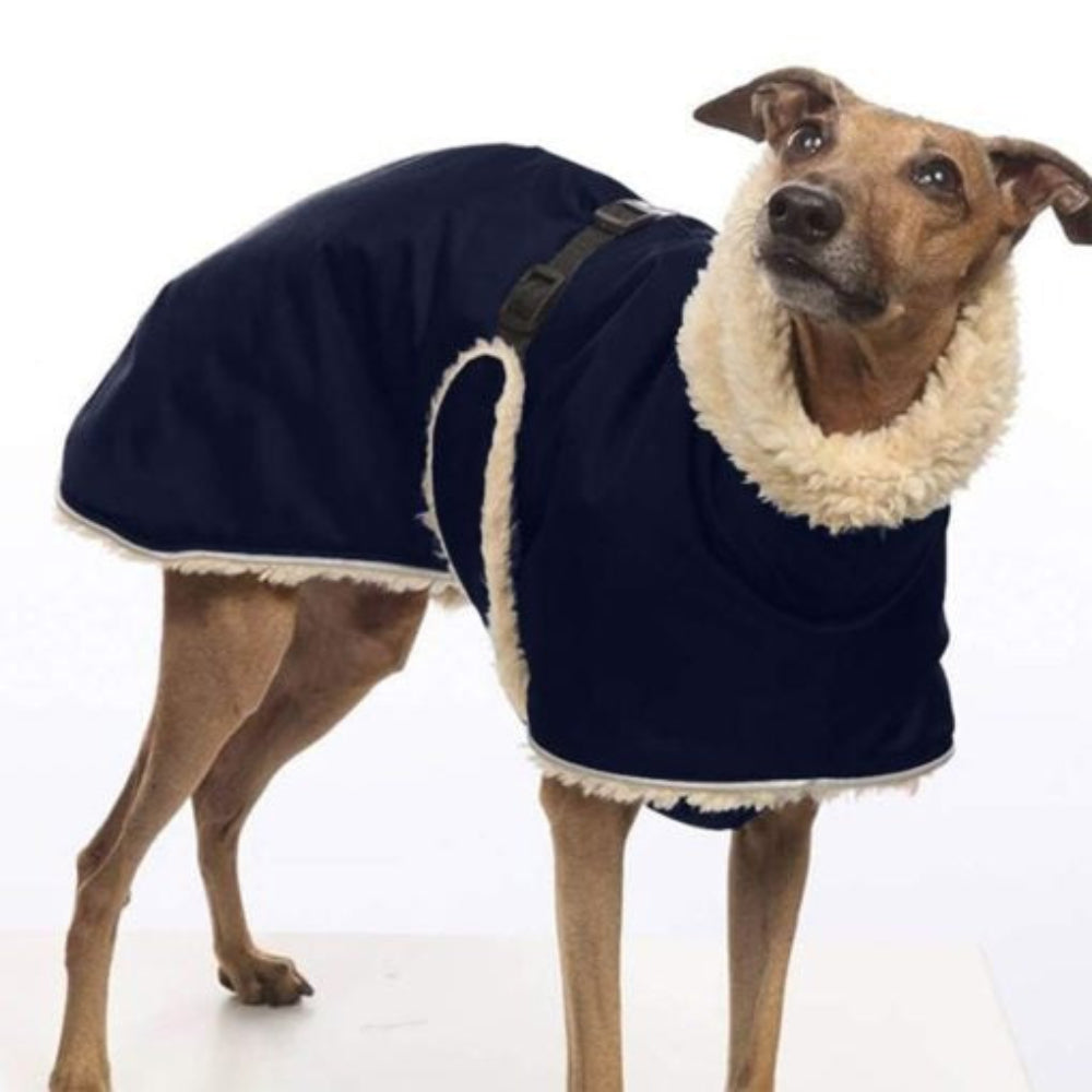 Dog breed-specific winter pet coat in blue, fleece-lined and waterproof, perfect for sighthounds