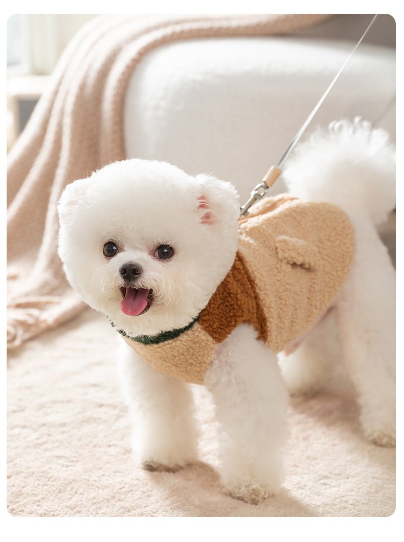 Soft wool blend dog vest featuring a modern color block design and leash attachment.
