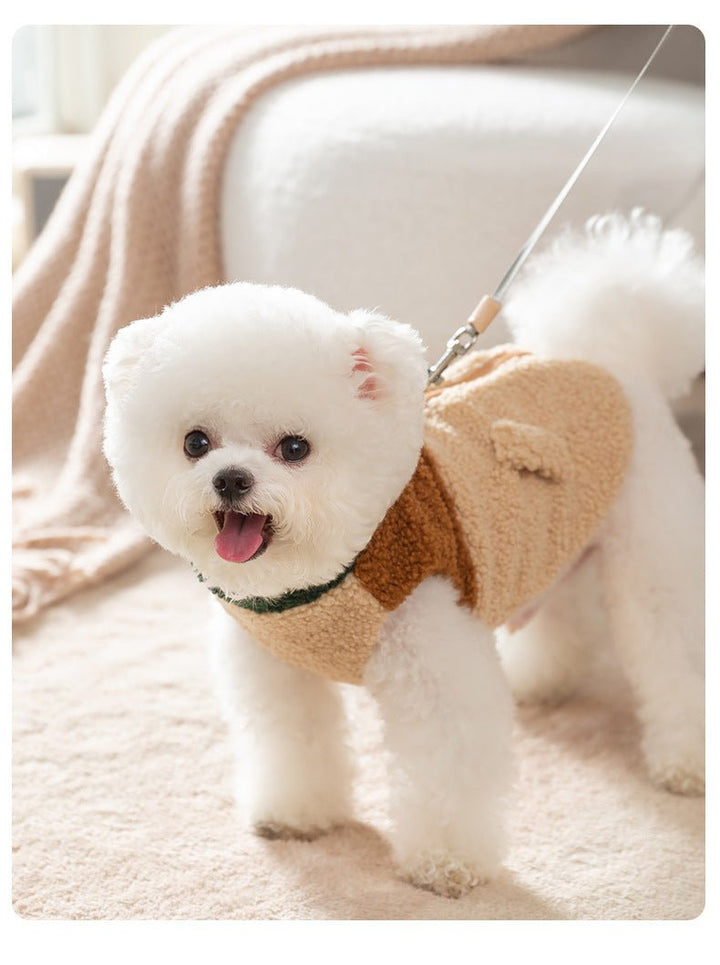 Soft wool blend dog vest featuring a modern color block design and leash attachment.