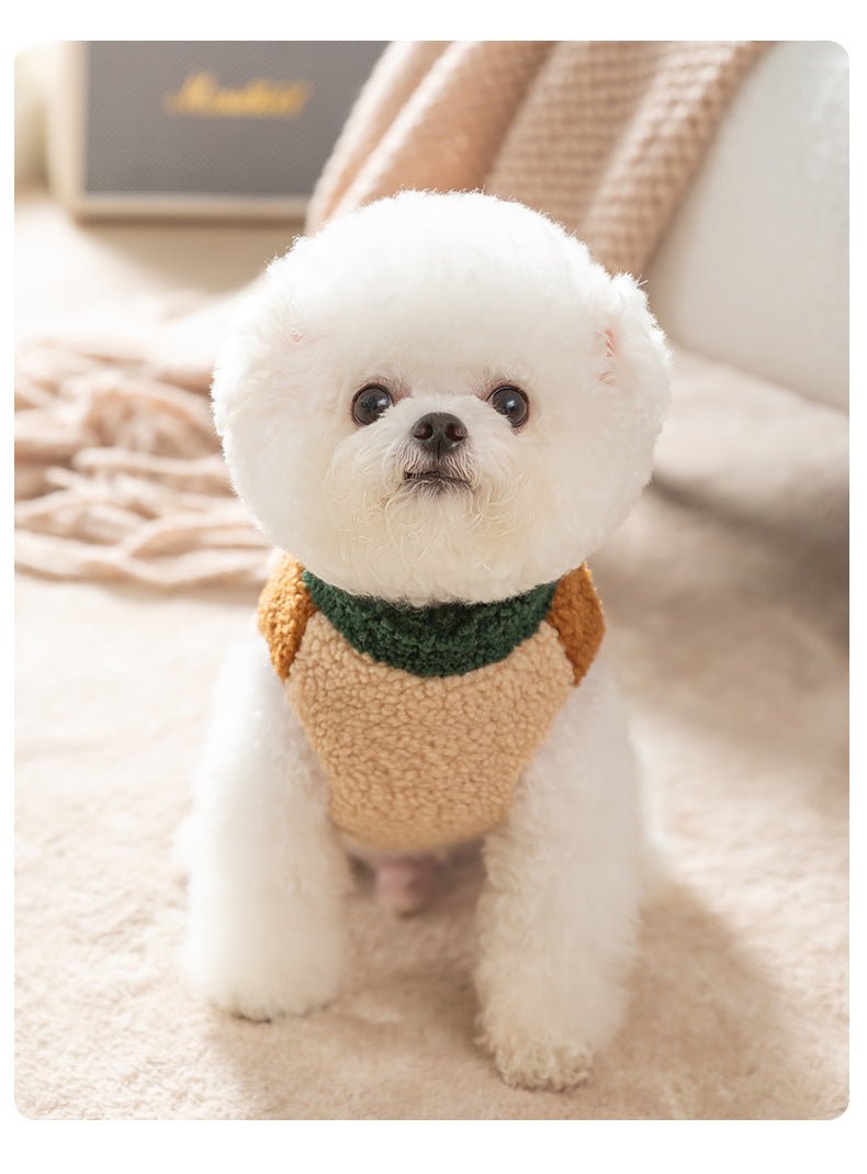 Front view of a dog wearing a multicolored color block wool blend vest with leash D-ring.