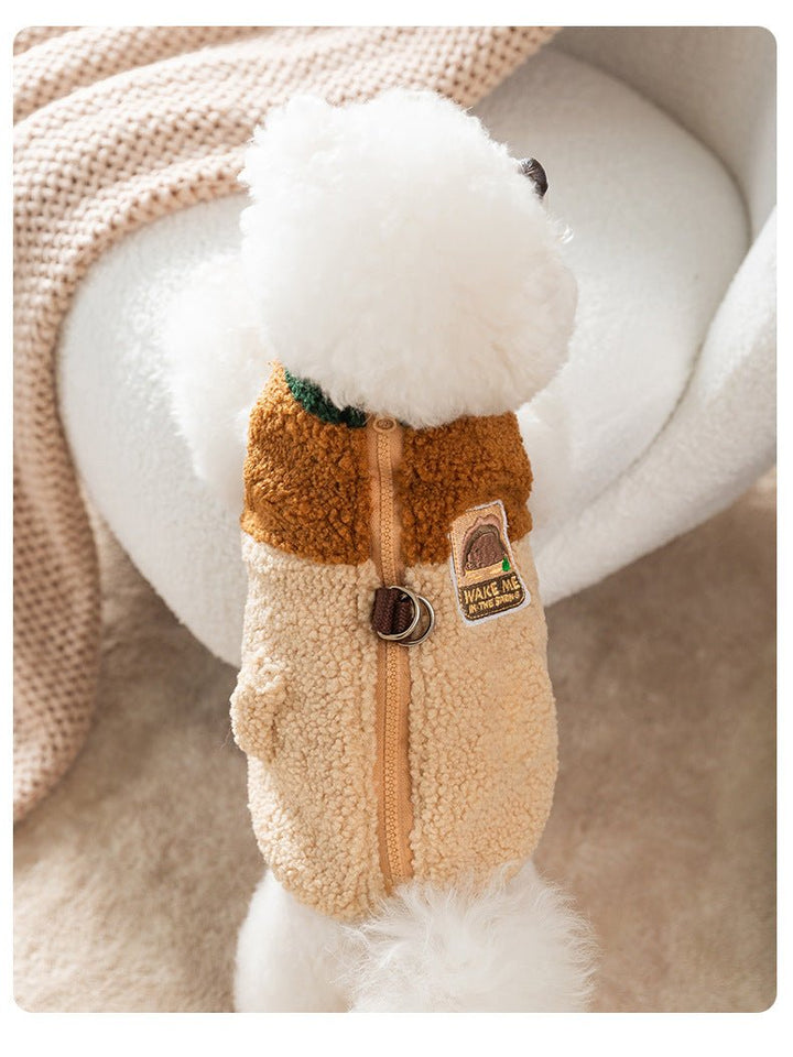 Close-up of the zipper closure and leash D-ring on a stylish color block dog vest.