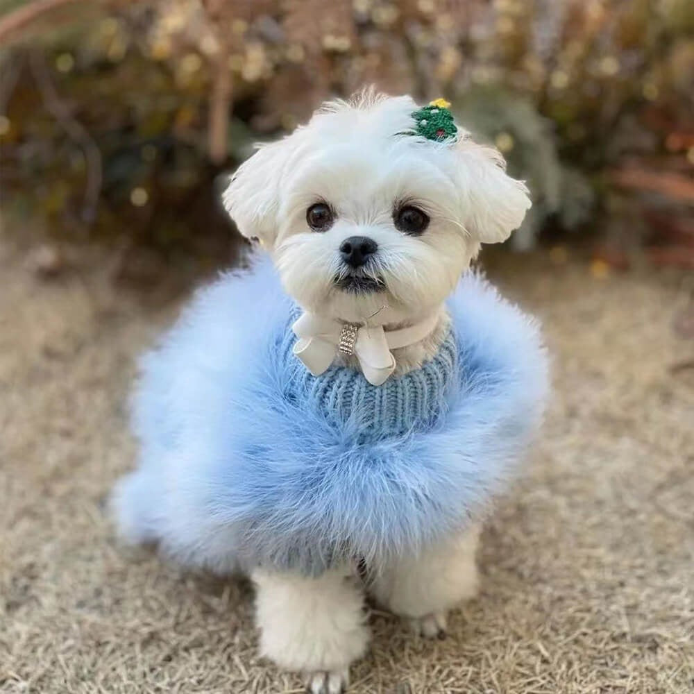 Beige soft knit turtleneck dog sweater on a small dog, showcasing comfortable pet clothing.