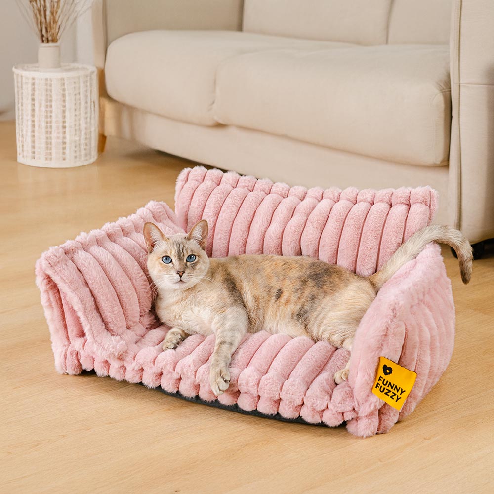 Empty washable cat bed, ready for a calm and comfortable pet sleep