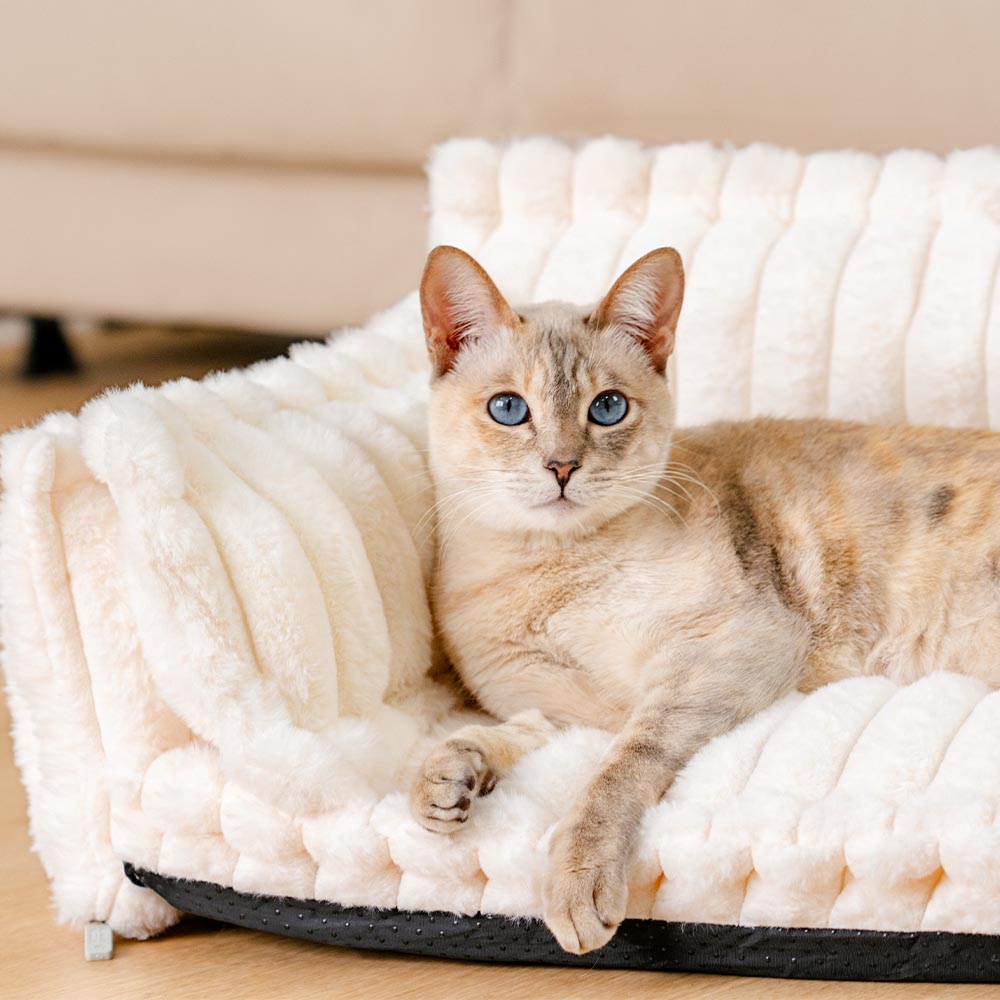 Washable pet bed with an integrated bolster pillow, ideal for cat comfort and sleep