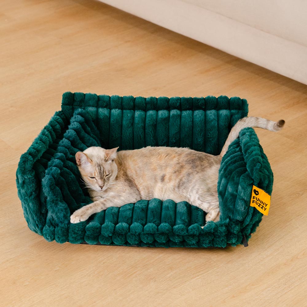 Close-up of the soft fabric on a washable pet bed, designed for feline comfort