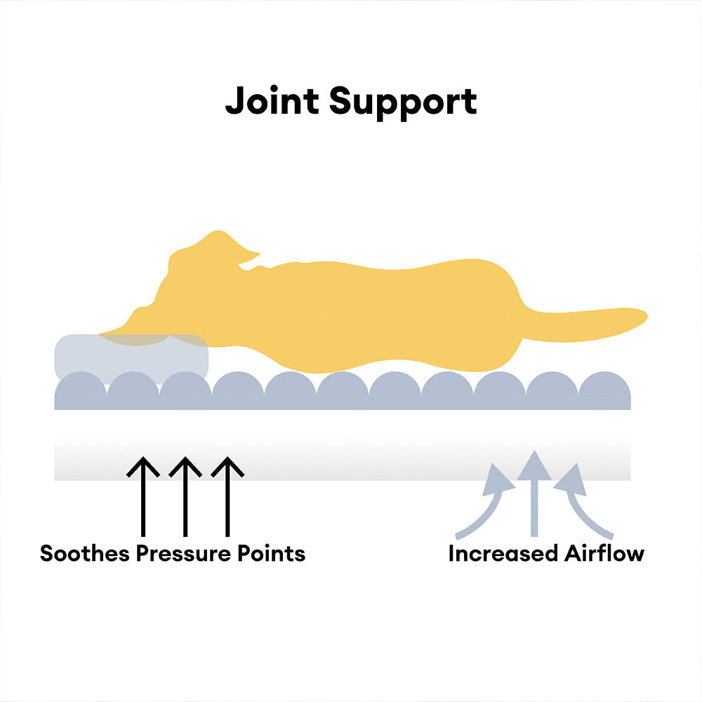 Cat sleeping soundly in a bolster cat bed, highlighting its calming effect and joint support