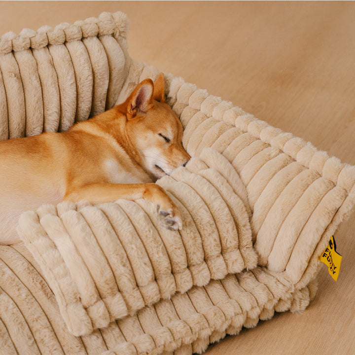 Washable Fluffy Orthopedic Dog Bed Cover & Pillow
