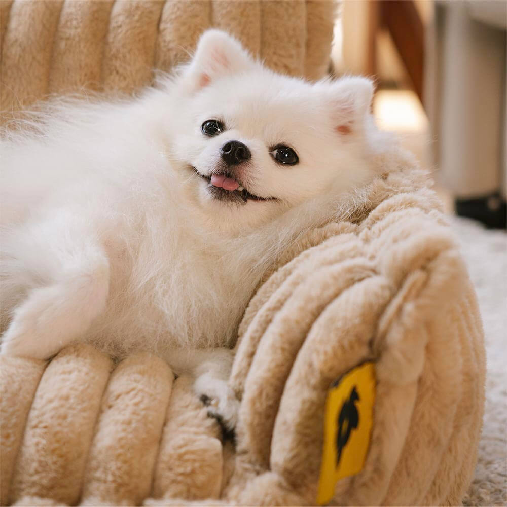 Washable Fluffy Orthopedic Dog Bed Cover & Pillow