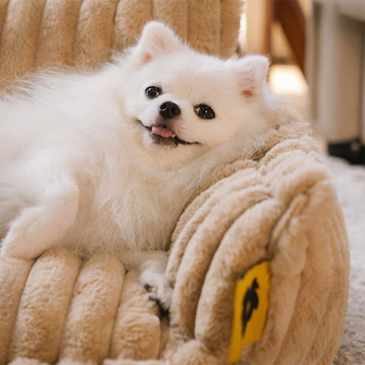 Washable Fluffy Orthopedic Dog Bed Cover & Pillow