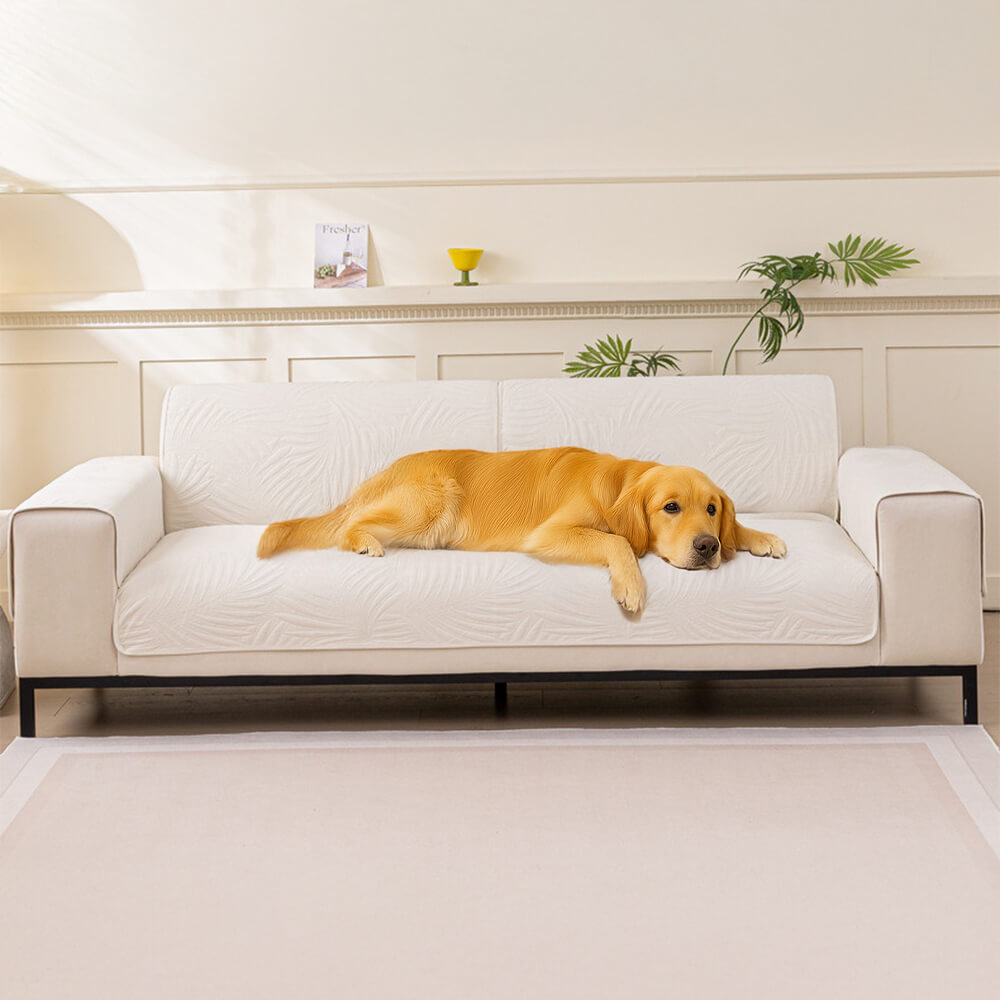 Stylish dark grey water-resistant couch cover featuring a non-slip backing and quilted design