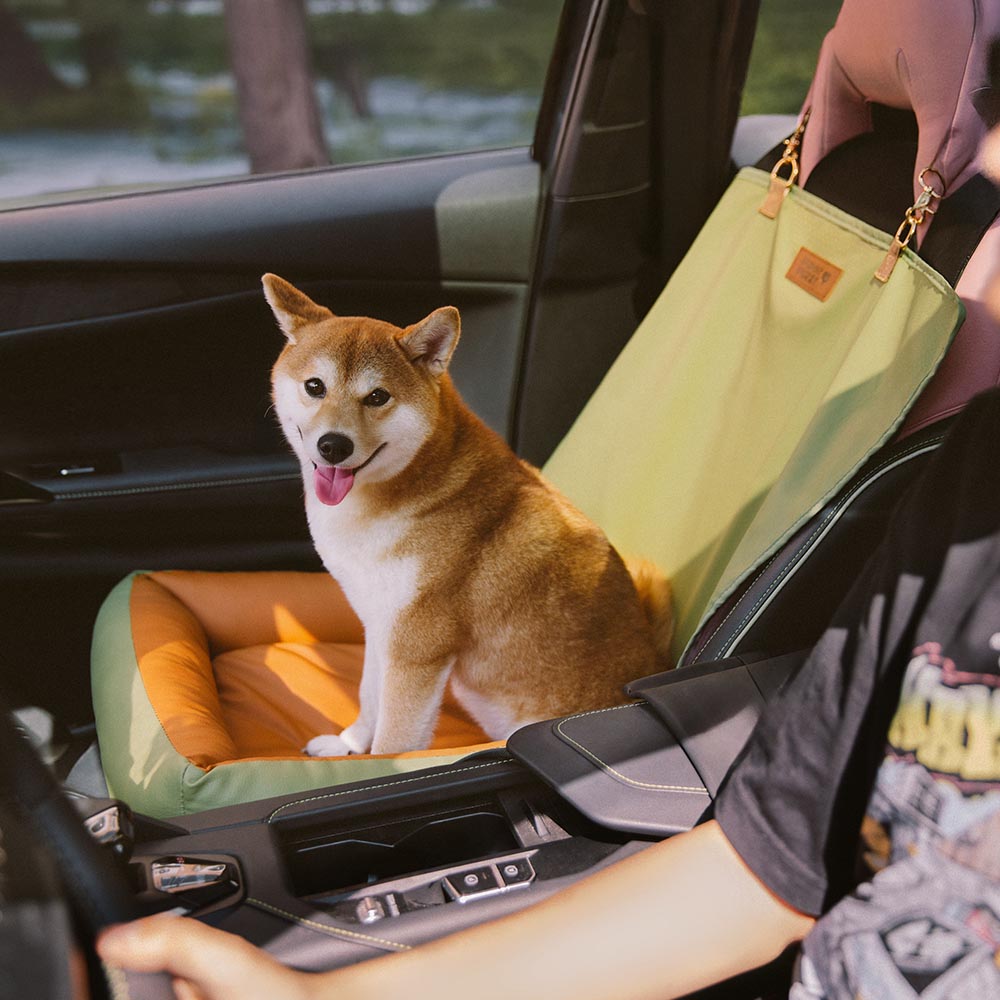 Dog car seat cover, durable and waterproof, with anti-slip backing for safe pet transport.