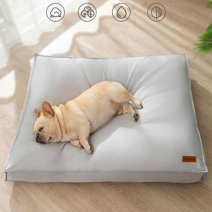 Soft, comfortable dog bed with waterproof liner. Machine washable, non-slip for small to large dogs.