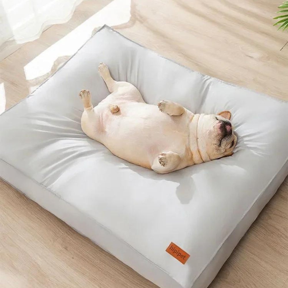 Premium waterproof dog bed, ultimate comfort & support. Washable pet supplies for every dog.