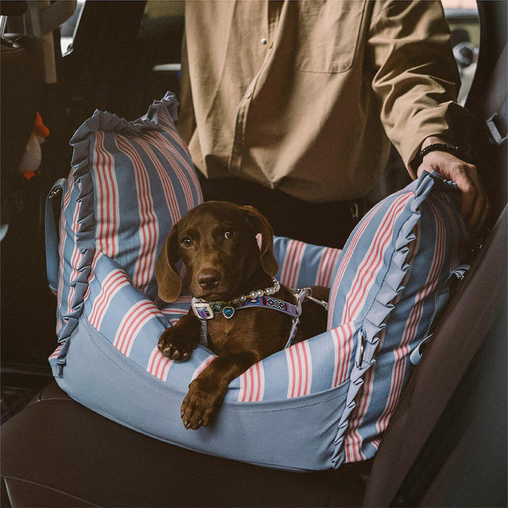 Dog car seat booster, waterproof & durable, essential pet travel gear.
