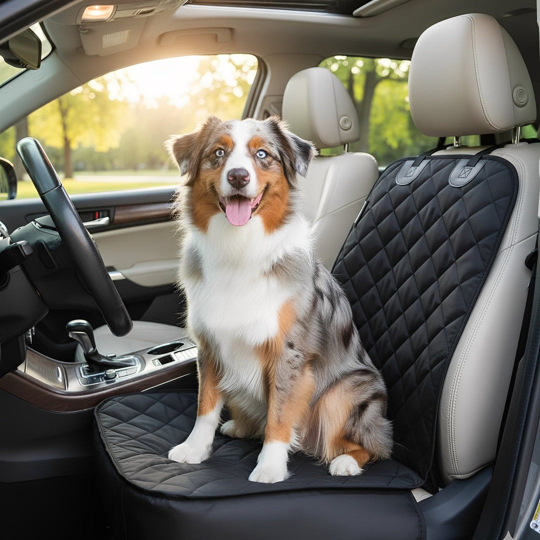 Dog car seat protector, black, made of durable nylon, covering a front car seat for pet travel