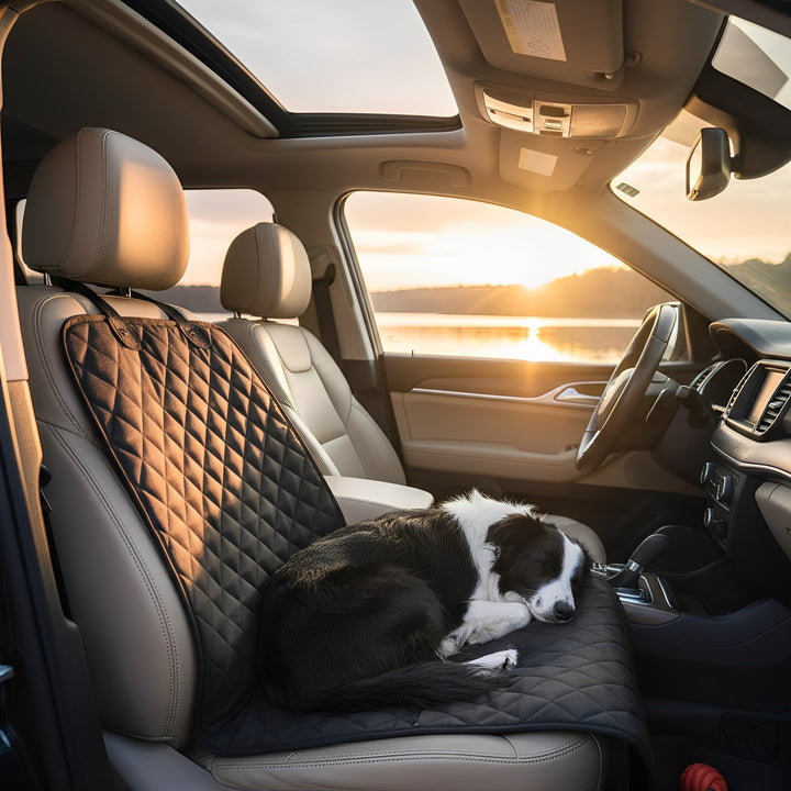 Durable pet travel accessory: waterproof front car seat cover in black, safeguarding car upholstery