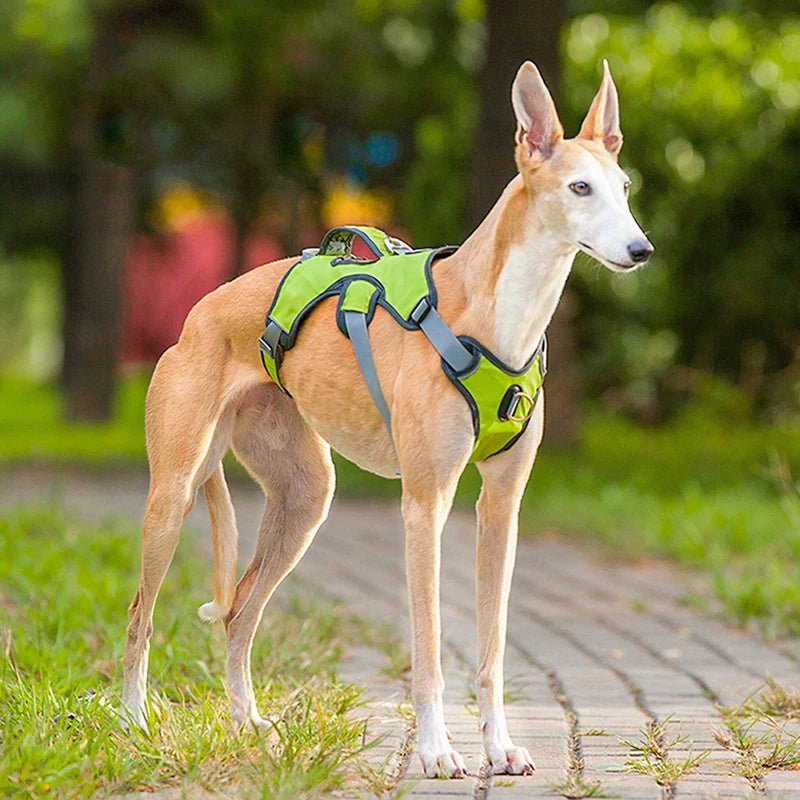 Unisex waterproof dog harness, reflective and adjustable, showing strong buckles and handle.