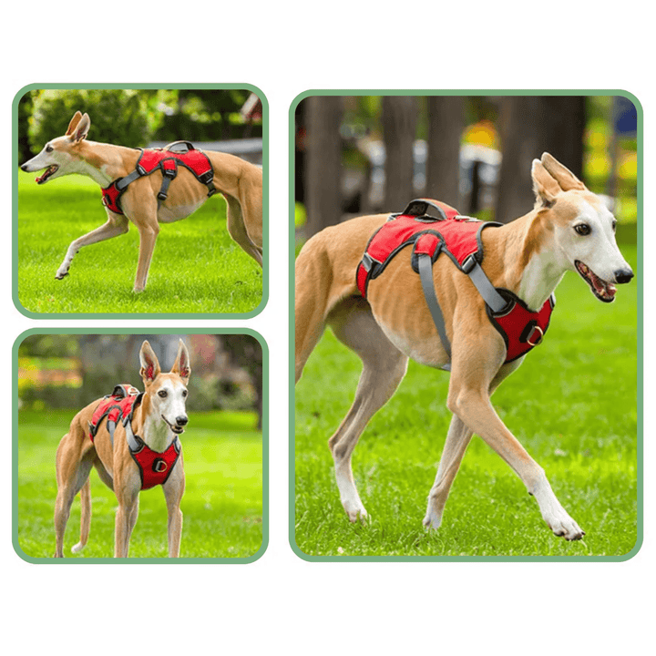 Reflective adjustable dog harness, close-up of breathable material and strong D-ring.