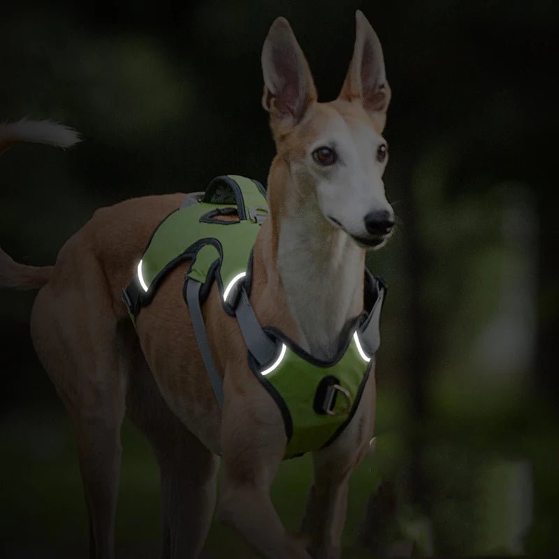 Black waterproof dog harness with reflective stitching, designed for pet safety and comfort.