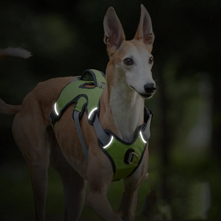Black waterproof dog harness with reflective stitching, designed for pet safety and comfort.