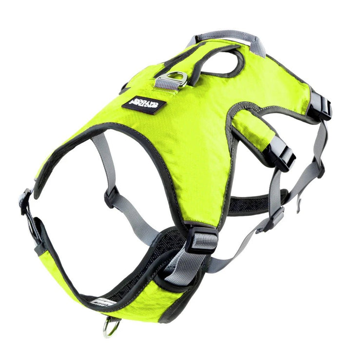 Unisex dog harness, waterproof with reflective elements, showing easy-on/off design.