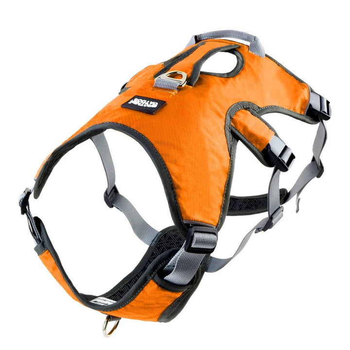Outdoor gear: reflective, adjustable, waterproof dog harness for enhanced pet visibility and control.