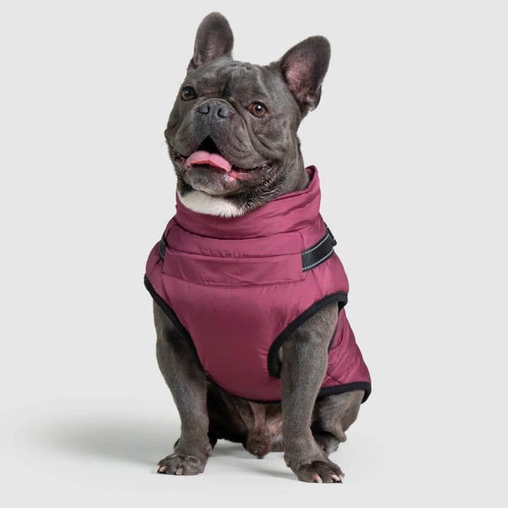 Red waterproof dog jacket with built-in harness, ideal pet apparel for rainy walks.