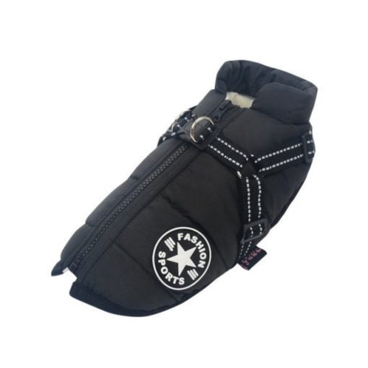 Durable waterproof dog jacket and harness combo, essential outdoor dog gear for all seasons.