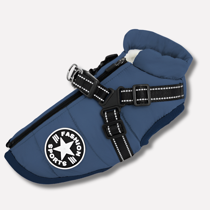Stylish dog rain jacket with integrated harness, keeping pets dry and secure.