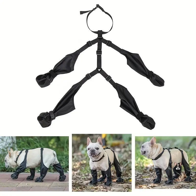 Dog wearing black waterproof pet shoes, adjustable fasteners, for all-weather paw protection and outdoor adventures.