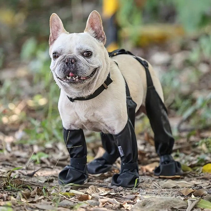Close-up of waterproof dog leggings with adjustable fasteners, durable pet gear for paw protection in outdoor settings.