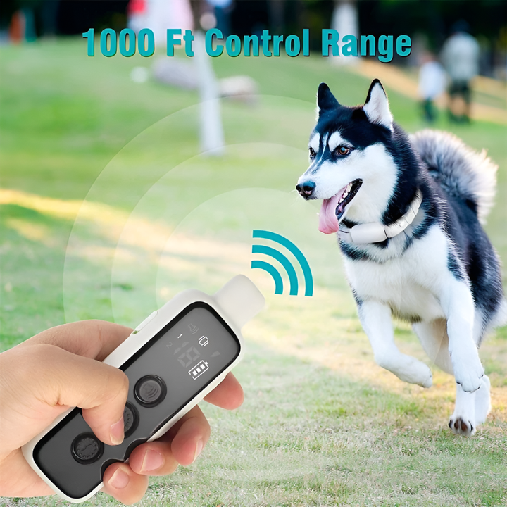 Waterproof dog training collar with remote control for effective outdoor behavioral training, rechargeable