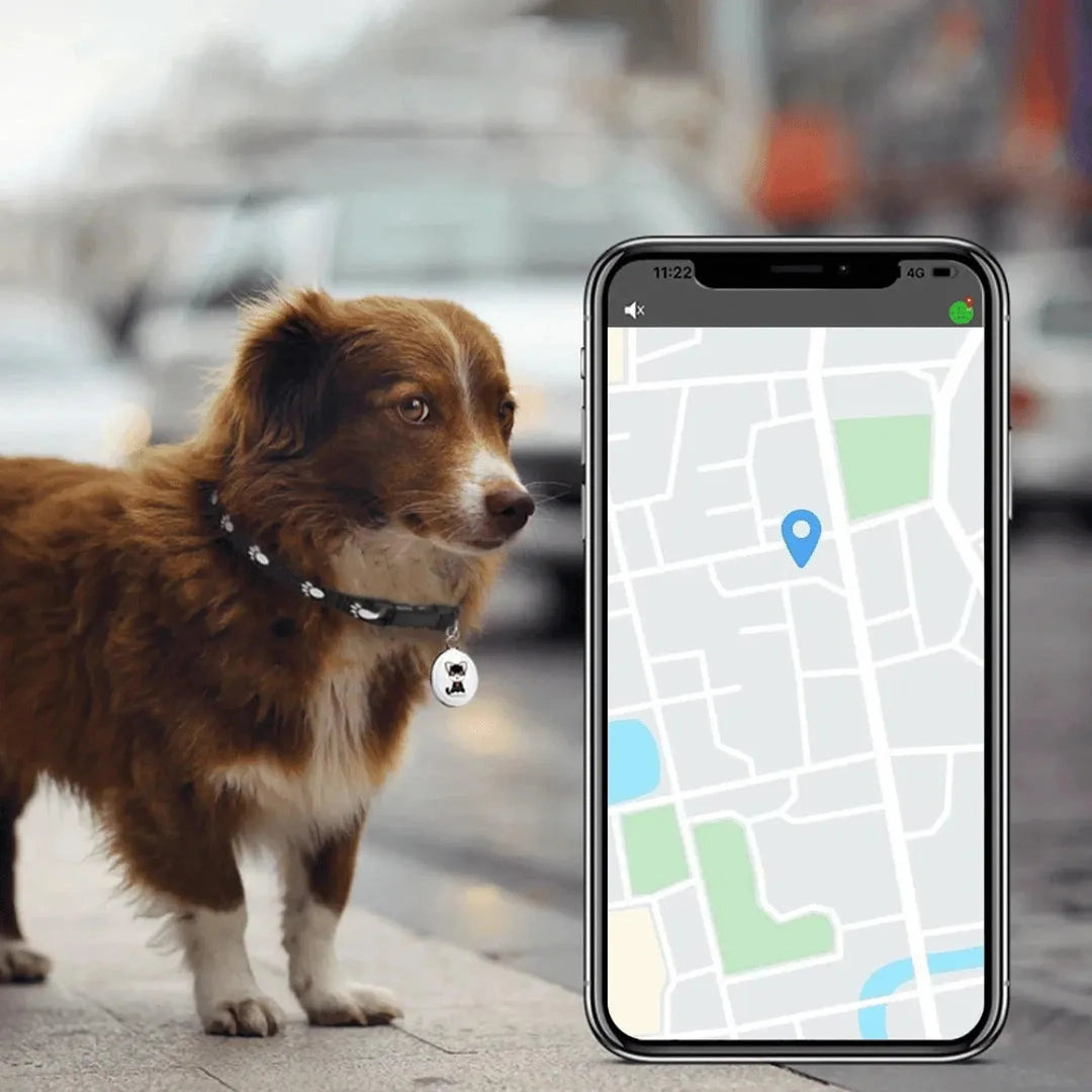 Close-up of a smart pet GPS tracker with real-time tracking features on a durable collar