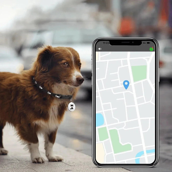 Close-up of a smart pet GPS tracker with real-time tracking features on a durable collar