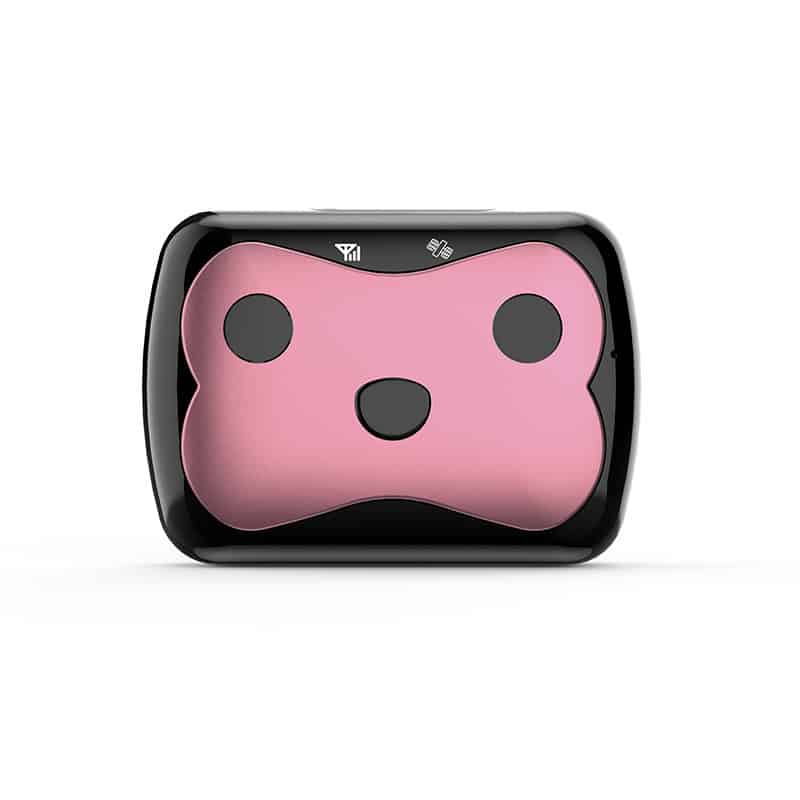 Waterproof GPS pet tracker collar in black on a dog, showing real-time location feature.