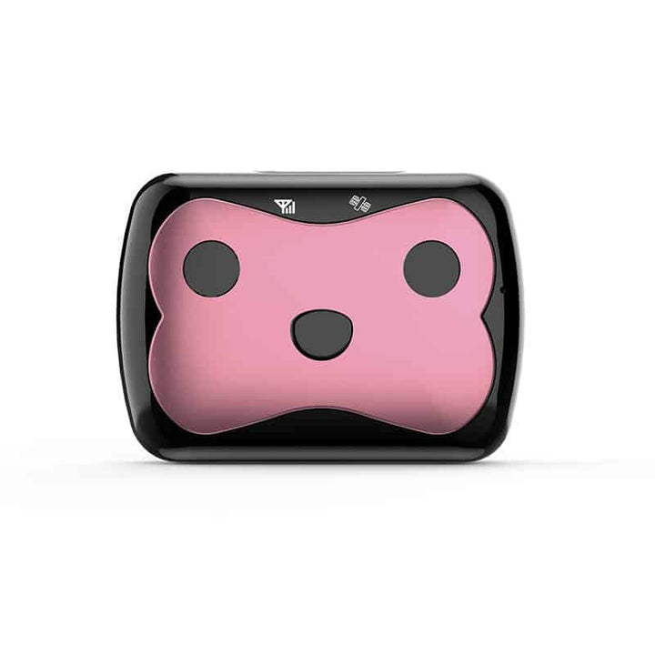 Waterproof GPS pet tracker collar in black on a dog, showing real-time location feature.