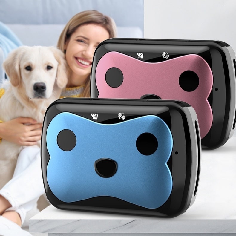 Close-up of a sturdy, waterproof GPS dog collar, ideal for pet safety and real-time tracking.