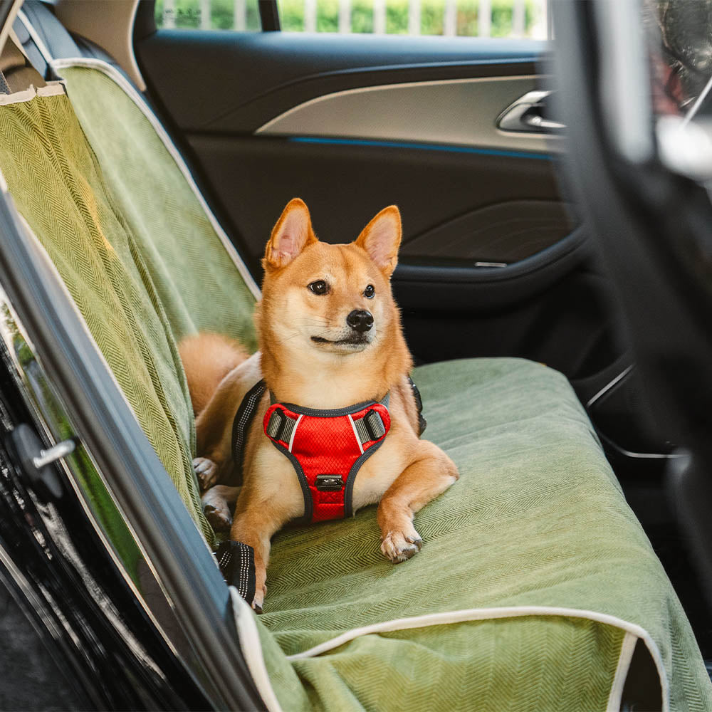 Pet friendly universal car seat cover for dogs, protects vehicle interior