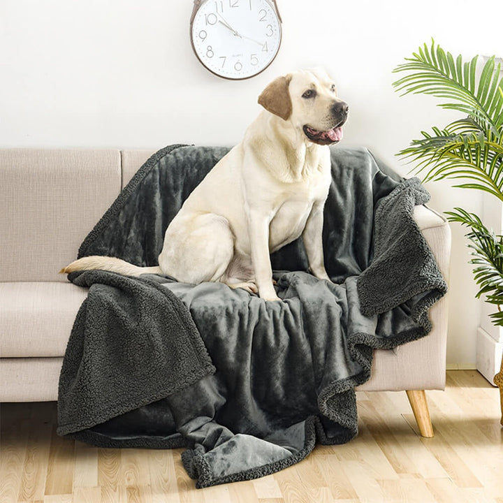 Soft waterproof sherpa fleece pet blanket protecting furniture from spills