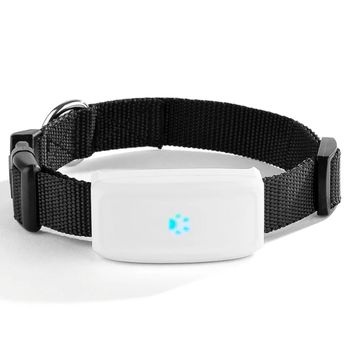 Waterproof Pet GPS Tracker 2G GSM for dogs and cats. Real-time tracking, geo-fencing for pet safety.