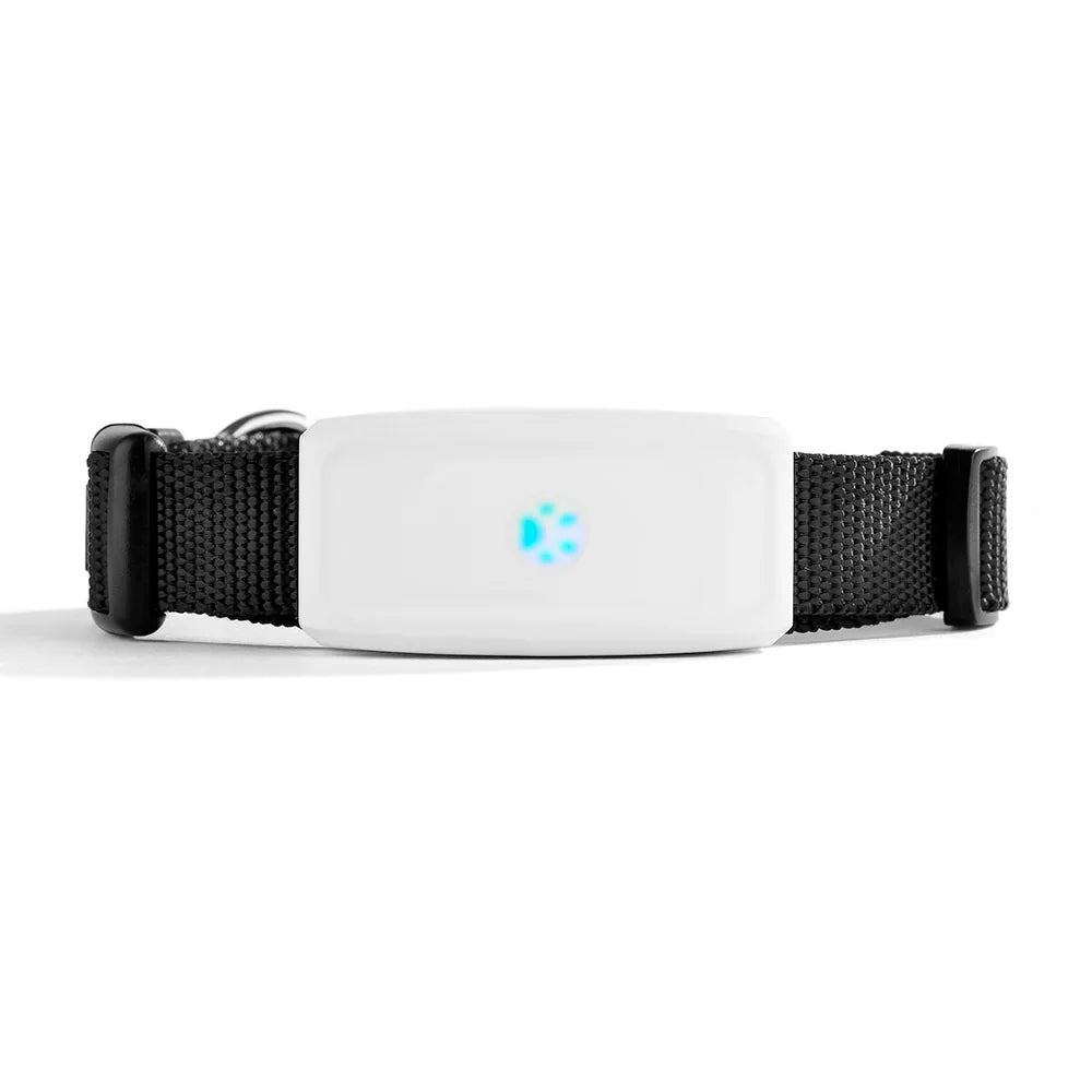 Compact waterproof pet GPS tracker attached to a dog collar, showing its small size and durability.