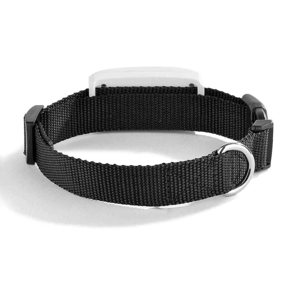 Close-up of a 2G GSM pet GPS locator, ideal for cat and dog safety with real-time tracking features.