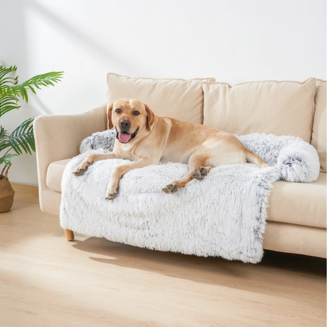 Waterproof plaid dog blanket protecting a sofa, pet furniture cover for dogs
