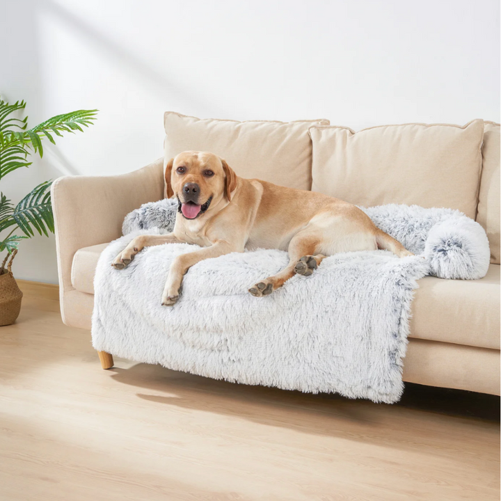 Waterproof plaid dog blanket protecting a sofa, pet furniture cover for dogs